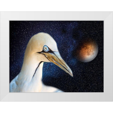 Space Bird White Modern Wood Framed Art Print by Phillip, Jamie