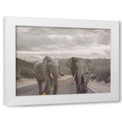 Road Stars White Modern Wood Framed Art Print by Phillip, Jamie