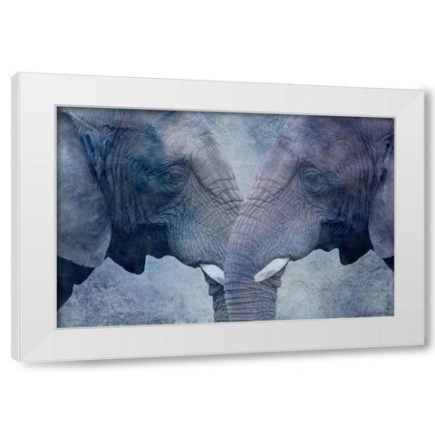 Elephant Love White Modern Wood Framed Art Print by Phillip, Jamie