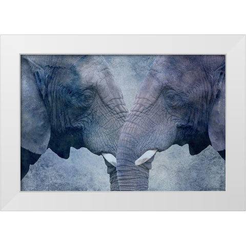 Elephant Love White Modern Wood Framed Art Print by Phillip, Jamie