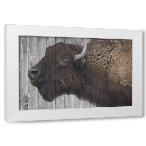 Buffalo Alpha White Modern Wood Framed Art Print by Phillip, Jamie
