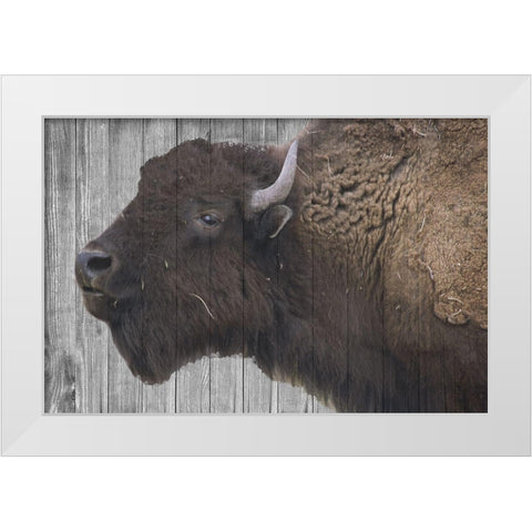 Buffalo Alpha White Modern Wood Framed Art Print by Phillip, Jamie