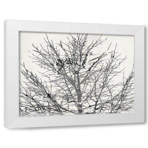 Front Door View White Modern Wood Framed Art Print by Phillip, Jamie