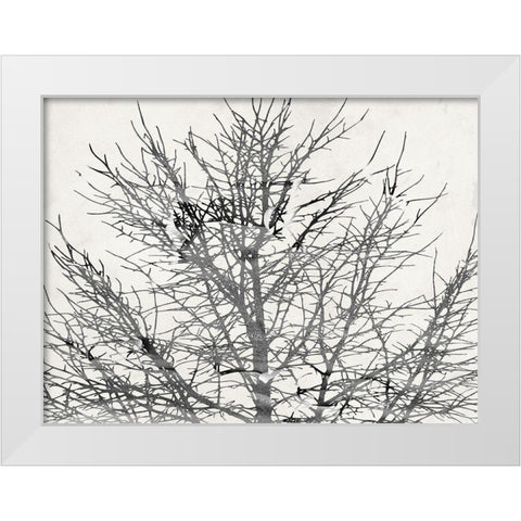 Front Door View White Modern Wood Framed Art Print by Phillip, Jamie