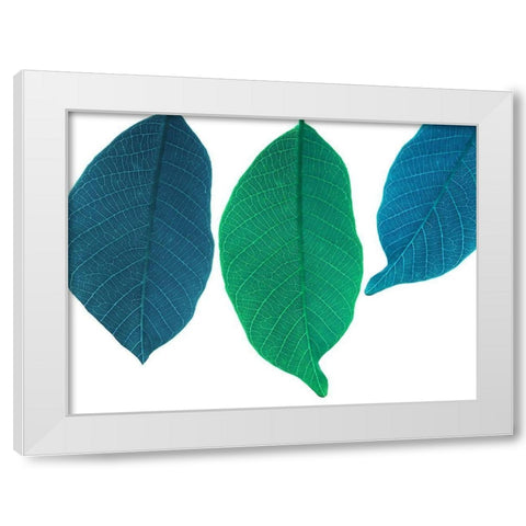 Xrayed White Modern Wood Framed Art Print by Phillip, Jamie