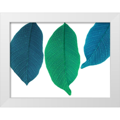Xrayed White Modern Wood Framed Art Print by Phillip, Jamie