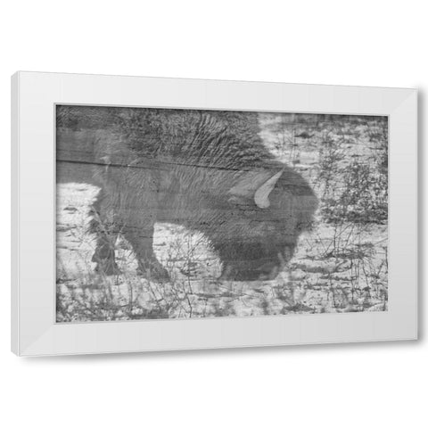 American Buffalo White Modern Wood Framed Art Print by Phillip, Jamie