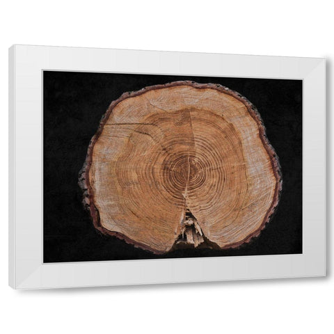 Dark Wood White Modern Wood Framed Art Print by Phillip, Jamie