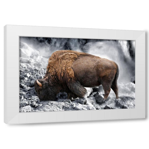 Bison Season 3 White Modern Wood Framed Art Print by Phillip, Jamie