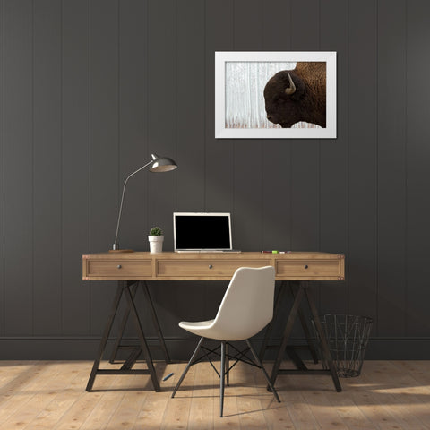 Bison Season 4 White Modern Wood Framed Art Print by Phillip, Jamie