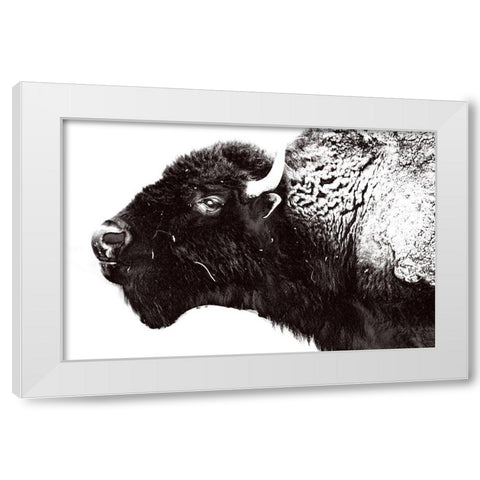 Bison Season 7 White Modern Wood Framed Art Print by Phillip, Jamie