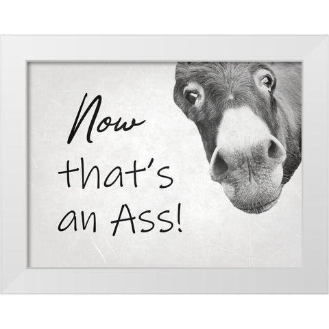Ass White Modern Wood Framed Art Print by Phillip, Jamie