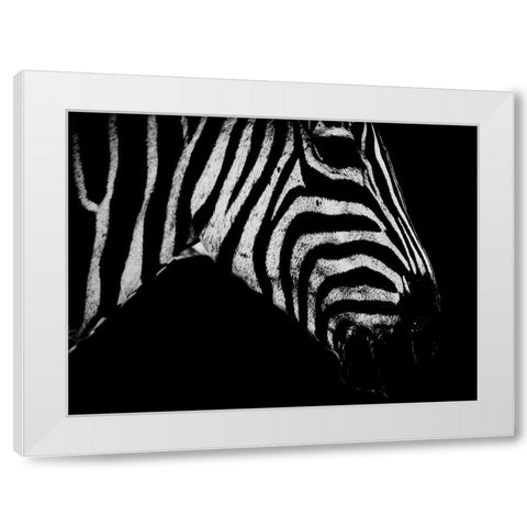 Africa Savanna 2 White Modern Wood Framed Art Print by Phillip, Jamie