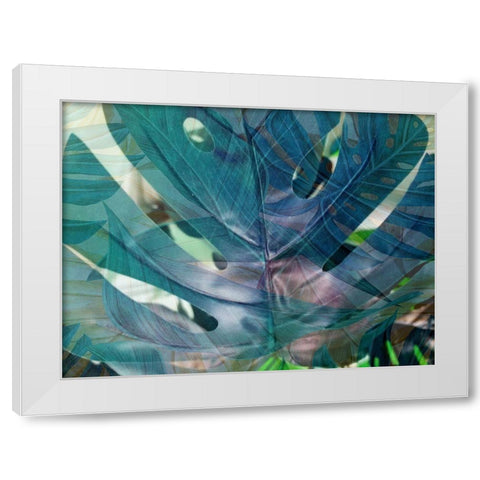 Succulent Tropics White Modern Wood Framed Art Print by Phillip, Jamie