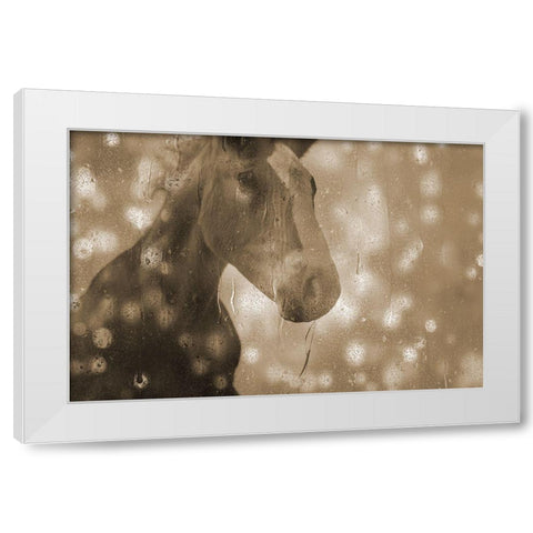 Browney Farm Horse White Modern Wood Framed Art Print by Phillip, Jamie