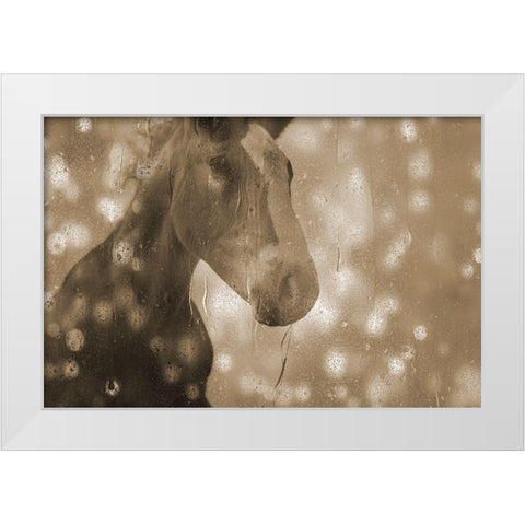 Browney Farm Horse White Modern Wood Framed Art Print by Phillip, Jamie