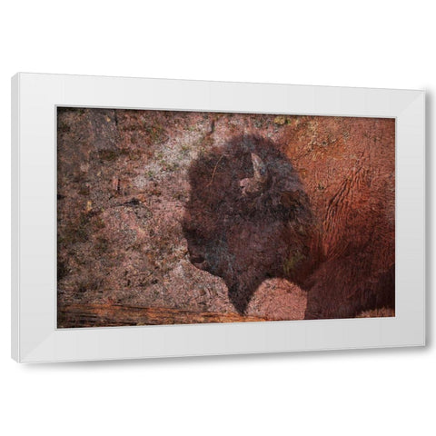 Brown Buffalo 2 White Modern Wood Framed Art Print by Phillip, Jamie