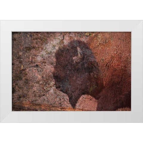 Brown Buffalo 2 White Modern Wood Framed Art Print by Phillip, Jamie