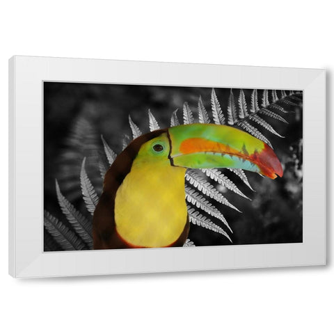Toucan Black White Modern Wood Framed Art Print by Phillip, Jamie