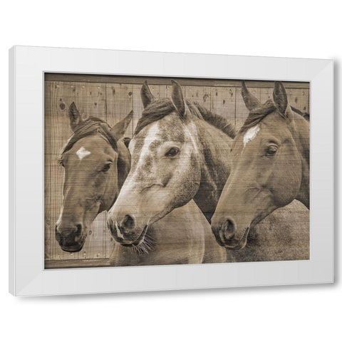 Companion White Modern Wood Framed Art Print by Phillip, Jamie