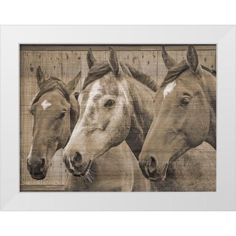 Companion White Modern Wood Framed Art Print by Phillip, Jamie