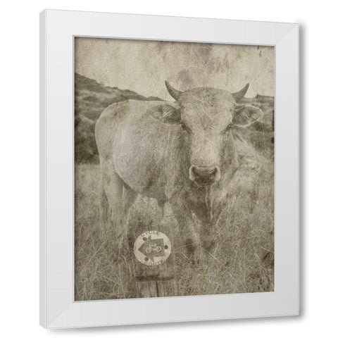 Country Farm White Modern Wood Framed Art Print by Phillip, Jamie