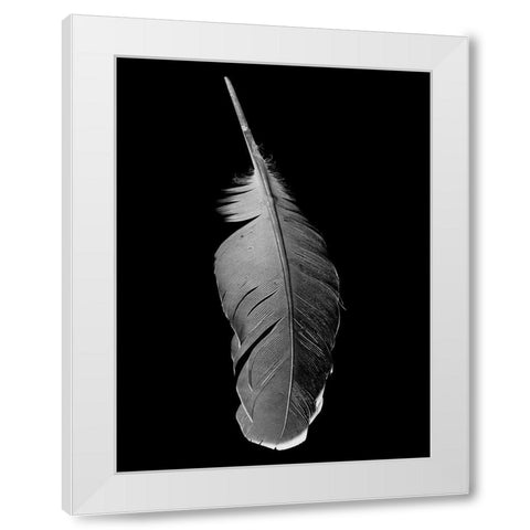 Black Flight White Modern Wood Framed Art Print by Phillip, Jamie