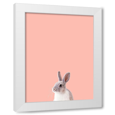 Bunny White Modern Wood Framed Art Print by Phillip, Jamie