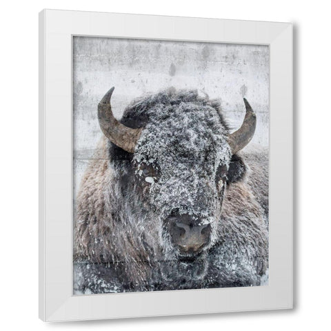 Snow Bison White Modern Wood Framed Art Print by Phillip, Jamie