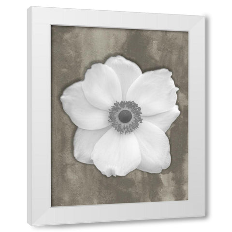 Pure White Flower White Modern Wood Framed Art Print by Phillip, Jamie