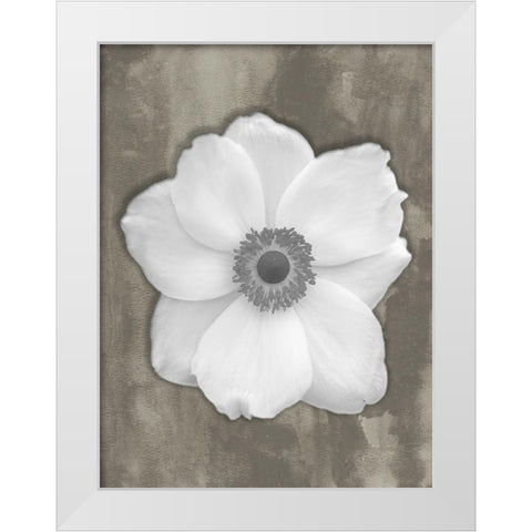 Pure White Flower White Modern Wood Framed Art Print by Phillip, Jamie