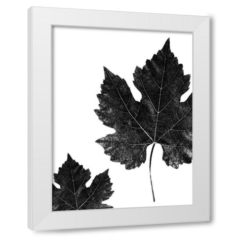 Shaded Leaf 1 White Modern Wood Framed Art Print by Phillip, Jamie