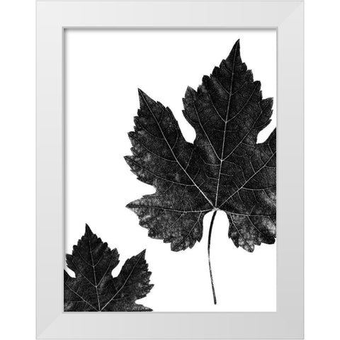 Shaded Leaf 1 White Modern Wood Framed Art Print by Phillip, Jamie