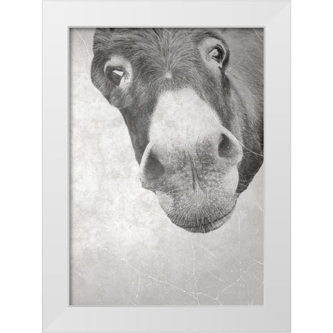 Farm Donkey White Modern Wood Framed Art Print by Phillip, Jamie