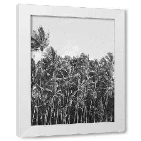 Trop Palm White Modern Wood Framed Art Print by Phillip, Jamie