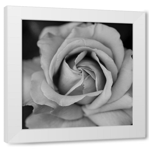 Beauty In Black White Modern Wood Framed Art Print by Phillip, Jamie