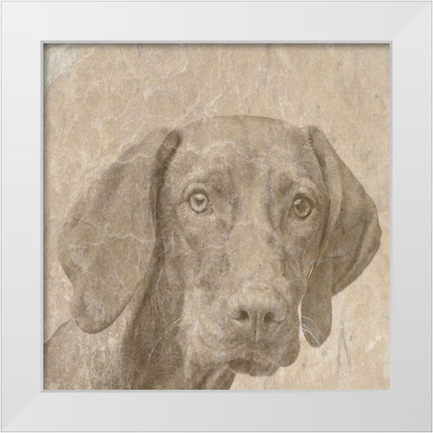Puppylove White Modern Wood Framed Art Print by Phillip, Jamie