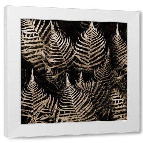 Natural Midnight White Modern Wood Framed Art Print by Phillip, Jamie