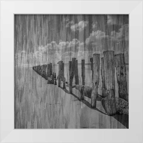 Black and White Beach White Modern Wood Framed Art Print by Phillip, Jamie