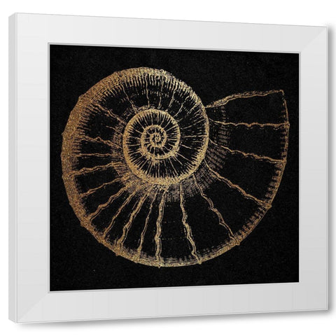 Gold Shell 2 White Modern Wood Framed Art Print by Phillip, Jamie