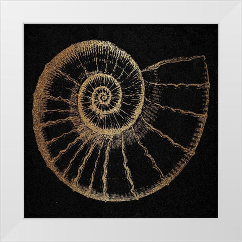 Gold Shell 2 White Modern Wood Framed Art Print by Phillip, Jamie