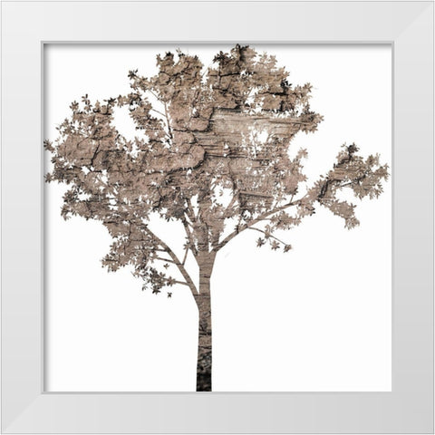 Wooded White Modern Wood Framed Art Print by Phillip, Jamie
