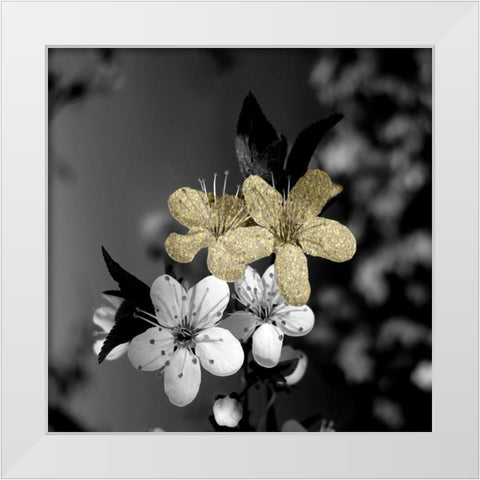 Black and Gold Beauty 1 White Modern Wood Framed Art Print by Phillip, Jamie