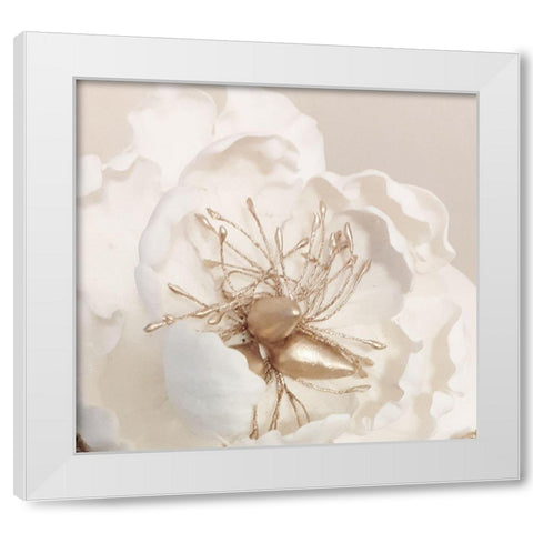 Bellarosa White Modern Wood Framed Art Print by Phillip, Jamie