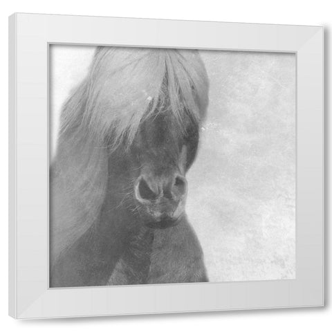 Wise Pony White Modern Wood Framed Art Print by Phillip, Jamie