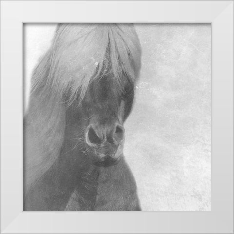 Wise Pony White Modern Wood Framed Art Print by Phillip, Jamie