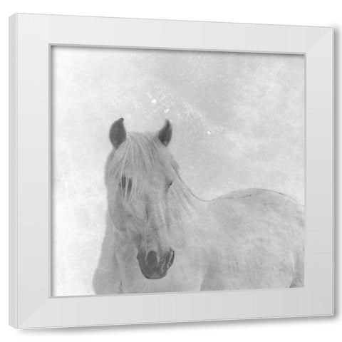 Wise Horse White Modern Wood Framed Art Print by Phillip, Jamie