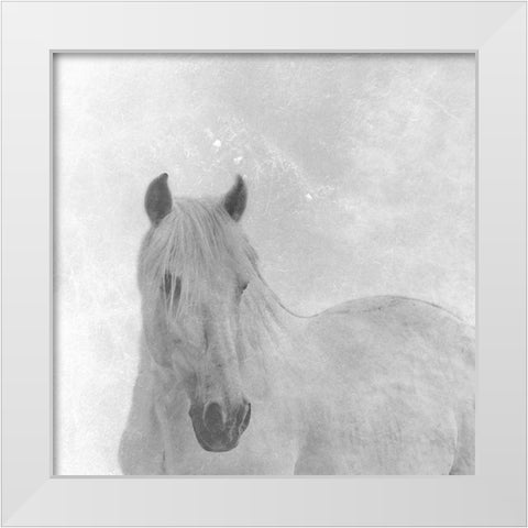 Wise Horse White Modern Wood Framed Art Print by Phillip, Jamie