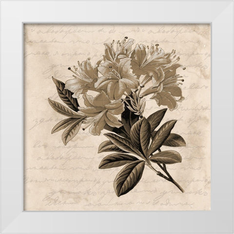 Love Letter White Modern Wood Framed Art Print by Phillip, Jamie