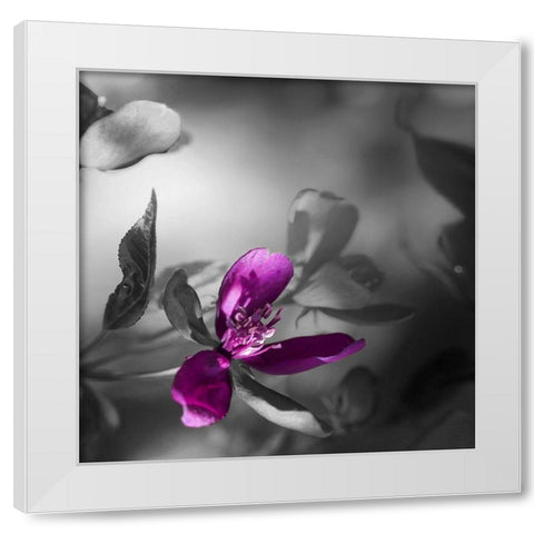 Purple Rain White Modern Wood Framed Art Print by Phillip, Jamie